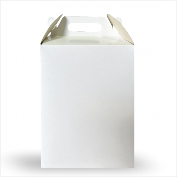 MALETA SUPER COMBO PAPEL CARTÃO SEM IMPRESSÃO - PACOTE COM 100 UNIDADES
