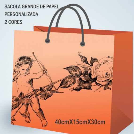 Sacola Papel 40cmx30cm PERSONALIZADA - 2 CORES- 100 un.